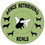 Section Retriever�s