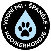 logo_cs1